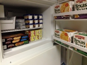 The freezer/refrigerator in the basement kitchen